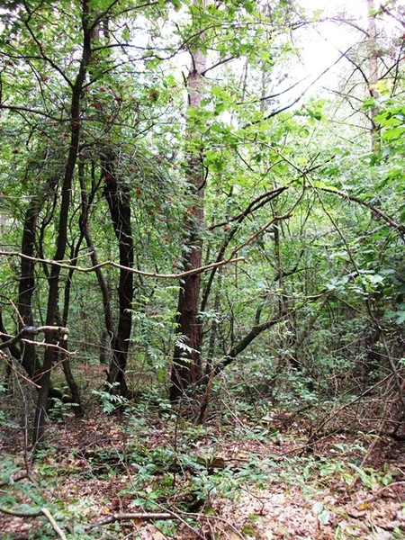 17-Natuurzone-Gerhagen