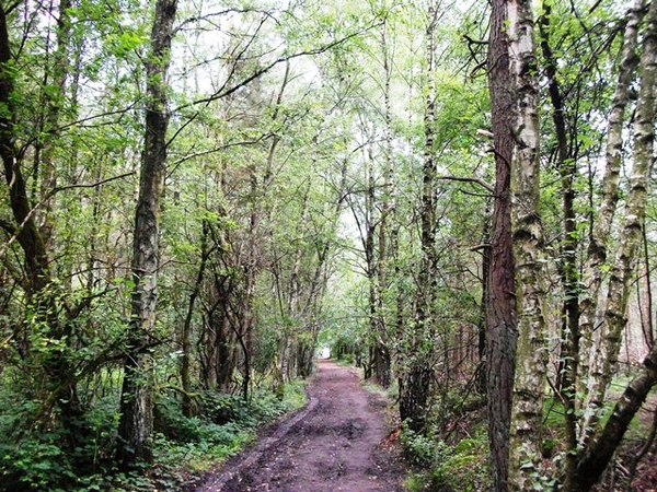 73-Natuurgebied-Gerhagen