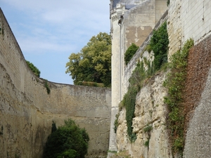 DSC00037