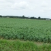 P1000796