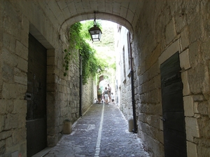Cévennes Provence 2011 051