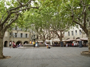 Cévennes Provence 2011 064