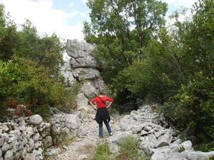 Cévennes Provence 2011 073