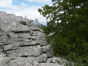 Cévennes Provence 2011 075