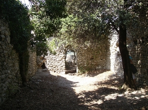 Cévennes Provence 2011 083