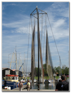 zeeland (14)