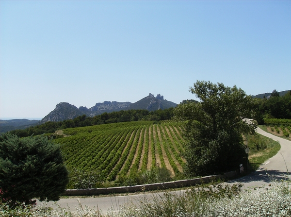 Cévennes Provence 2011 141