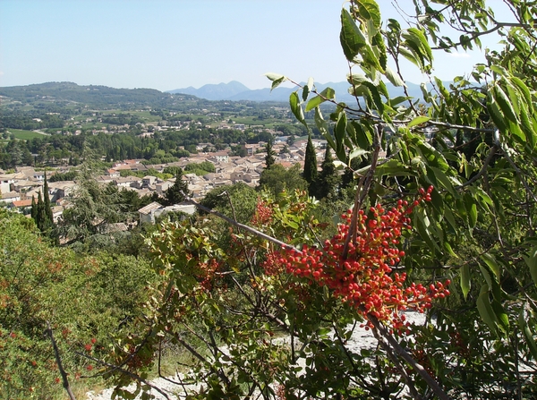 Cévennes Provence 2011 164