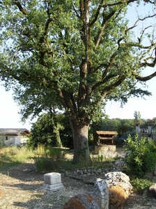 nojal dordogne 2010 031