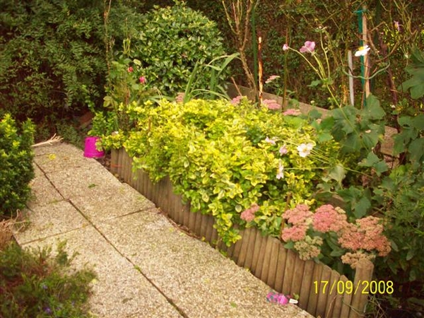 100_2196 (Small)