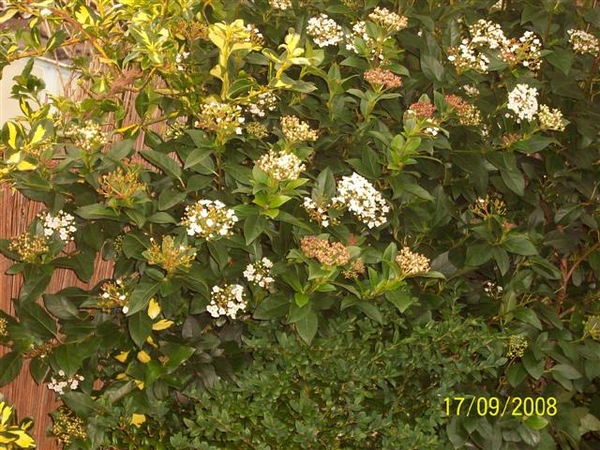 Herfst op mijn eilandje.