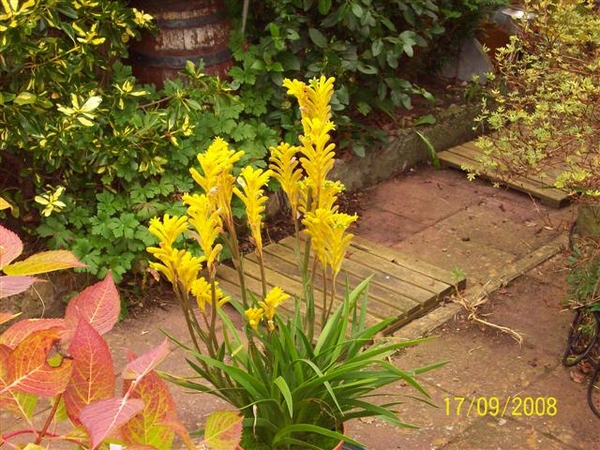 Herfst op mijn eilandje.