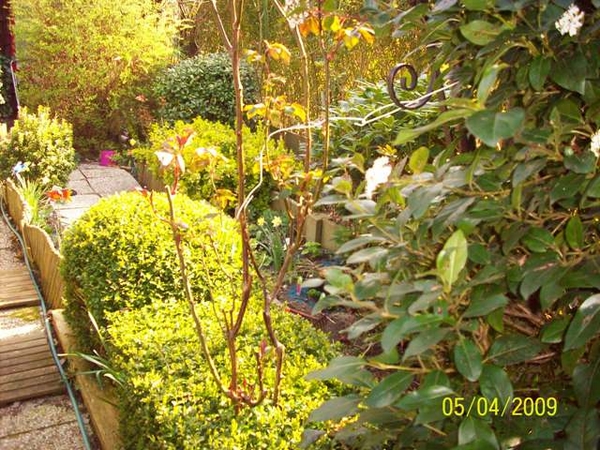 Mijn  Afbeeldingen eigen foto's 313