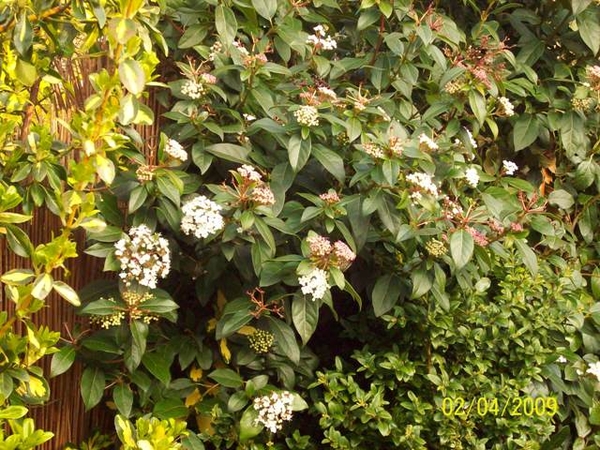 Mijn  Afbeeldingen eigen foto's 278