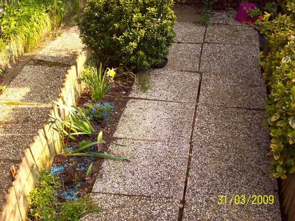 Mijn  Afbeeldingen eigen foto's 266