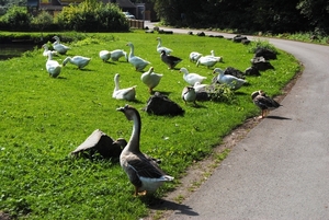 1ste foto Argenteau (bij Luik)