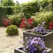 culan agonac 2009 001