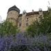 culan agonac 2009 009