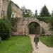 culan agonac 2009 010