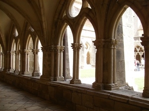 culan agonac 2009 026