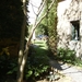 culan agonac 2009 035