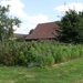 culan agonac 2009 043