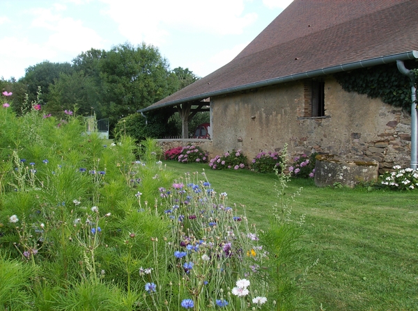 culan agonac 2009 045