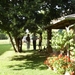culan agonac 2009 048