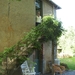 culan agonac 2009 050