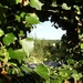 culan agonac 2009 055