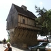 culan agonac 2009 097
