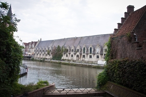 gent (60)