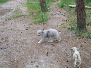 Wandeling 21-8-2011 (1)