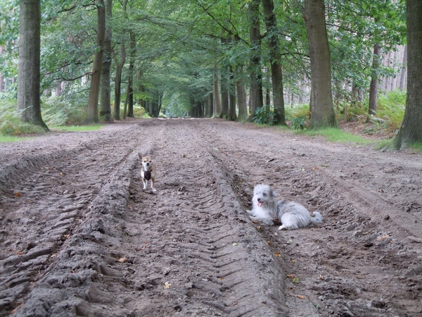 Wandeling 21-8-2011 (8)