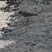 Noordkaap 2011 113