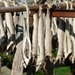 Noordkaap 2011 195