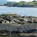 Noordkaap 2011 204