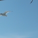 Noordkaap 2011 225