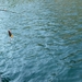 Noordkaap 2011 237