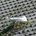 Noordkaap 2011 252
