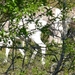 Noordkaap 2011 347