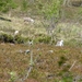 Noordkaap 2011 348
