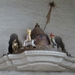Noordkaap 2011 578