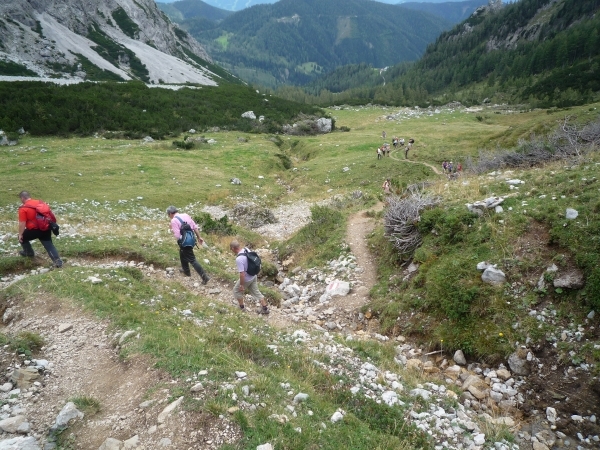 3 Filzmoos omg, wandeling Bachalm-Sulzenalm _P1110829