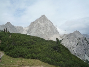 3 Filzmoos omg, wandeling Bachalm-Sulzenalm _P1110837