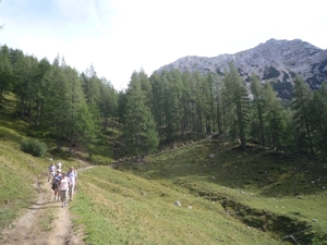 3 Filzmoos omg, wandeling Bachalm-Sulzenalm _P1110840