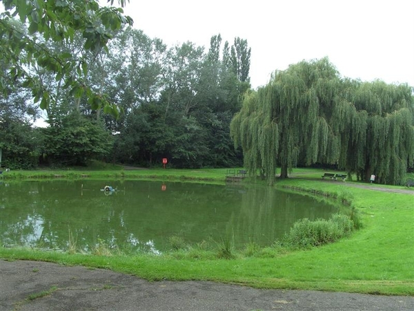 20110824.Schelle 030 mooi park