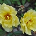 061