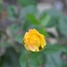 062
