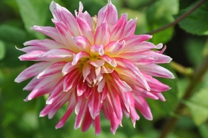 054